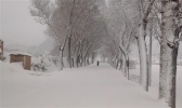 关于“特大暴雪”你了解过吗