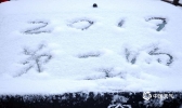 哈尔滨喜迎今年首场降雪 银装素裹美不胜收