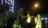“卡努”致海南街头一片凌乱 交警连夜出动保障通行