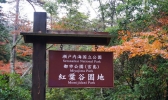 日本看红叶的最佳时间 日本有哪些看红叶的地方