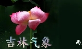又是被雨水承包的一周 凉爽的呀！！