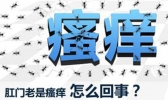肛门瘙痒怎么办 肛门瘙痒怎么解决