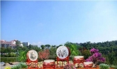 2019漳州菊花展什么时候开始+地点 2019漳州菊花展攻略