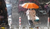 浙江多地有中到大阵雨或雷雨 全省气温普遍在30℃出头