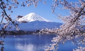 日本7日自由行攻略 日本7日自由行最佳路线