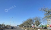 【内蒙古】冷空气散场 未来三天内蒙古大部天放晴气温缓慢回升