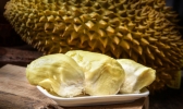 泰国榴莲便宜吗