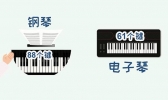 电子琴与钢琴有哪些区别 电子琴与钢琴的区别