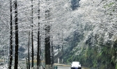 小编为您解答——什么是“阵雪”