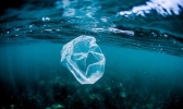 可在海水中降解塑料袋是怎么回事 降解塑料袋是什么意思