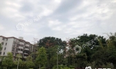 广东明夜起强降雨再次来袭 韶关清远局部大暴雨