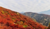 坡峰岭红叶最佳观赏期2019