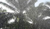 陕西昨日暴雨连连 今日西安仍有暴雨