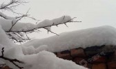 【新疆】较强冷空气入侵，塔城地区大部出现降雪、大风天气