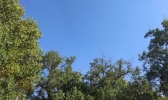 江苏雨水暂告一段落迎晴天 今日南京气温回升至33℃