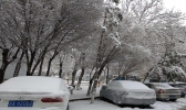 乌鲁木齐迎入冬以来最大降雪 出门要保暖