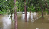 四川盆地等地暴雨来袭 华南江南高温“顽固”
