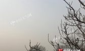 河北石家庄等8市将遭中到重度污染 明天唐山等或现降雪