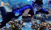 越南芽庄海上滑翔伞多少钱