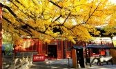 北京红螺寺位置在哪里 去红螺寺怎么走