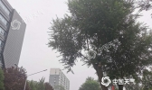 北京西部北部有雷阵雨