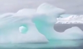 南极洲绿雪是因为环境问题吗 科学家对南极洲绿雪看法