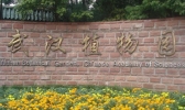 武汉植物园适合拍照吗
