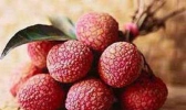 女性吃荔枝能养生吗