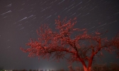 2020年12月14日双子座流星雨几点开始 今年双子座流星雨极大时间点