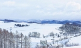 北海道美瑛游玩攻略 北海道美瑛拍照指南