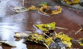 今日西南地区至江南一带仍有强降雨 气温将大面积创新低