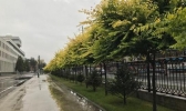 10号台风海神开始影响东北 今日内蒙古多地迎来强降雨