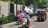 周末浙中南地区气温将上升至36℃ 午后有雷阵雨注意交通安全