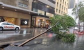 澳大利亚维多利亚州遭暴风雨袭击 3人死亡10多万家庭断电