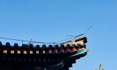 防寒保暖要做好！今晨北京大部气温跌破冰点 下周持续“冻人”