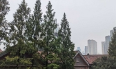 今有阵雨叨扰 下周初降水再袭