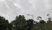 广东周六早晚有雾 周日起冷空气来袭降温5～8℃