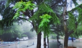 今明两天四川多地有强降雨 需注意防范次生灾害发生