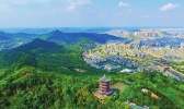 成都到南充多少公里
