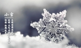 小雪节气养生3原则 我不说你知道吗