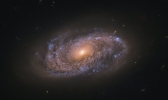 1.45亿光年外大型螺旋星系NGC 2906中散布着大量“婴儿”恒星