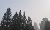 多云开场 雨水落幕