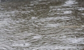 浙江高考第3日南部仍有暴雨 今明雨势较强考生出行注意