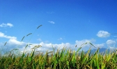 大凉山在四川哪里
