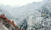 【甘肃】平凉：初冬第一场降雪如约而至