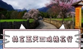林芝五日游旅游攻略