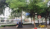 北京国庆当天阵风达6级 2日最高气温仅20℃