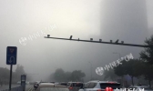 银川上演“寂静岭”能见度不足100米 明早宁夏仍有雾