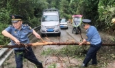 四川大竹县暴雨多处山体滑坡 部分道路基本抢通恢复通行