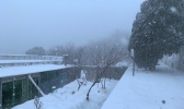 河南嵩山雪花飘 漫山银装景色绝佳